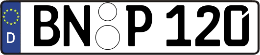 BN-P120