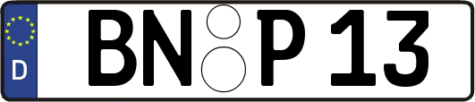 BN-P13