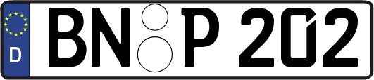 BN-P202