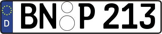 BN-P213
