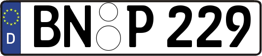 BN-P229