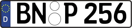 BN-P256