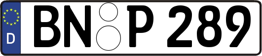 BN-P289