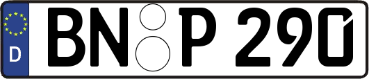 BN-P290