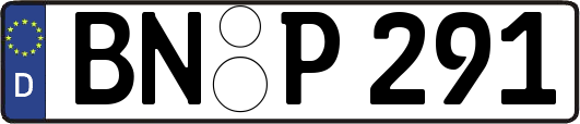 BN-P291