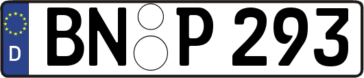 BN-P293