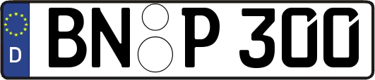 BN-P300