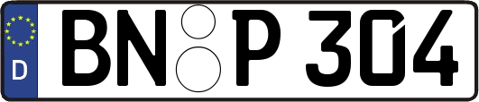 BN-P304