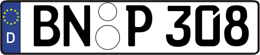 BN-P308