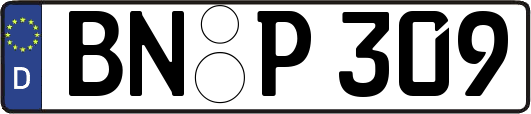 BN-P309