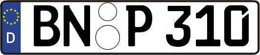 BN-P310