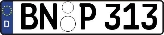 BN-P313