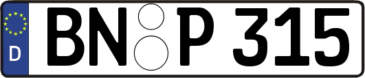 BN-P315