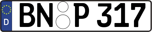 BN-P317