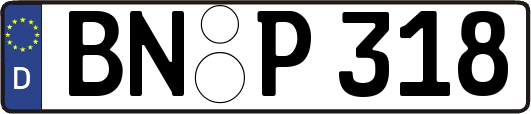 BN-P318
