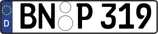 BN-P319