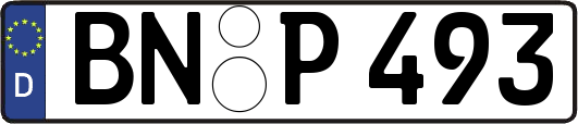 BN-P493