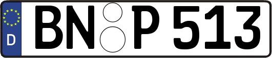 BN-P513