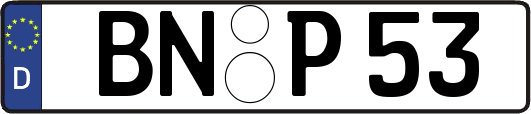 BN-P53
