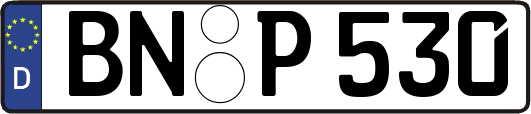 BN-P530