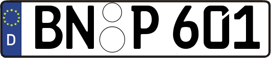 BN-P601