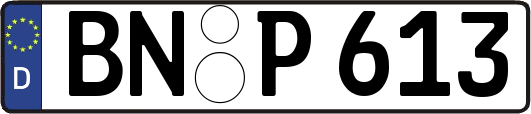 BN-P613