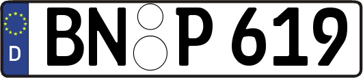 BN-P619