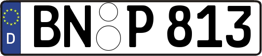 BN-P813