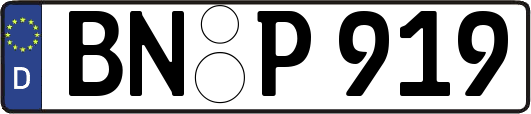 BN-P919