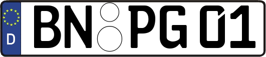 BN-PG01