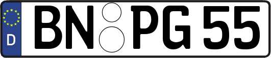 BN-PG55