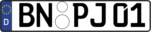 BN-PJ01