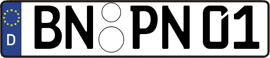 BN-PN01