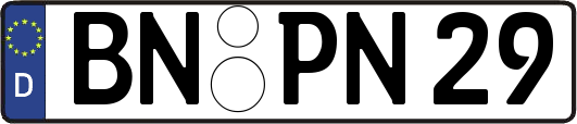BN-PN29