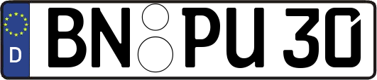 BN-PU30