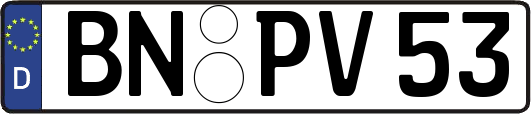 BN-PV53