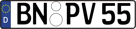 BN-PV55
