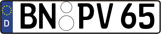 BN-PV65