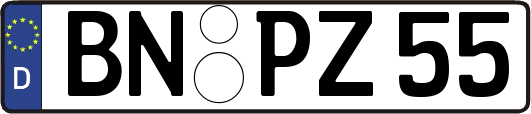 BN-PZ55