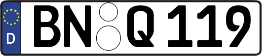 BN-Q119
