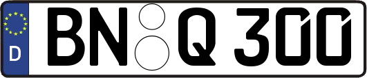 BN-Q300