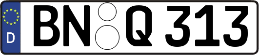 BN-Q313