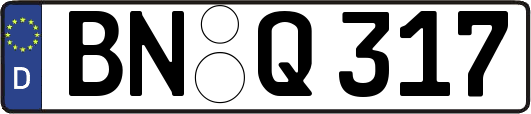 BN-Q317