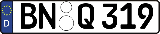 BN-Q319