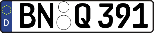 BN-Q391