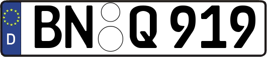 BN-Q919