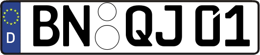 BN-QJ01