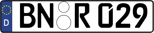 BN-R029