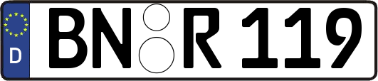 BN-R119