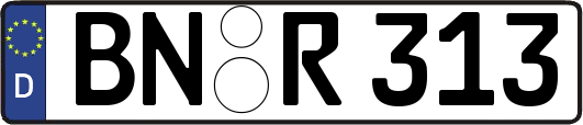 BN-R313